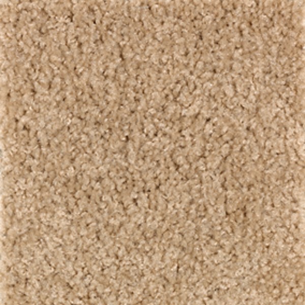 Sensibility Beige Nouveau